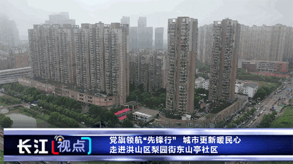 20230726-4-工作動態--工委組織部--【先鋒隊·先鋒行】市直機關走進洪山區梨園街東山亭社區開展黨旗領航“先鋒行”活動195拷貝