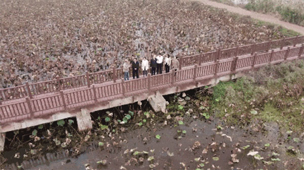 20231225-2--先鋒隊---市生態環境局---武漢市生態環境局自然生態保護處黨支部：堅持黨建引領打造人與自然和諧共生的美麗武漢750拷貝