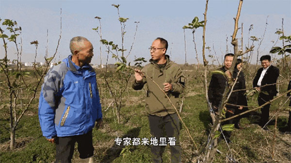 20230115-1-先鋒隊--市科協--武漢市科協科普部黨支部：黨建聚合力科普耀江城176拷貝