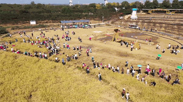 20230115-1-先鋒隊--市科協--武漢市科協科普部黨支部：黨建聚合力科普耀江城750拷貝