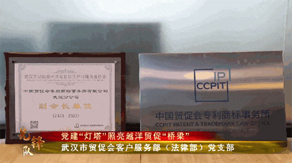 20240110-5--先鋒隊--市貿促會--武漢市貿促會客戶服務部（法律部）黨支部：黨建“燈塔”照亮越洋貿促“橋梁”396拷貝