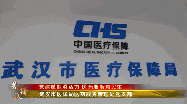 20240116-2---先鋒隊--市醫保局--武漢市醫保局醫藥服務管理處黨支部：黨建賦能添活力醫藥服務惠民生303拷貝