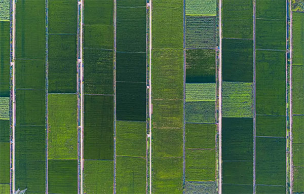 222 拷貝 222 拷貝